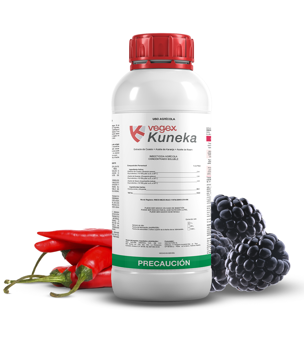 Vegex Kuneka