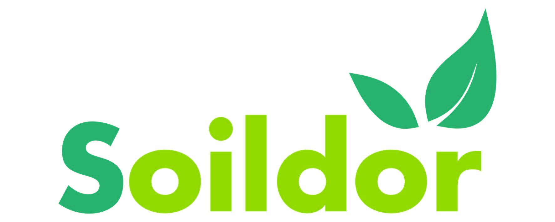 Soildor