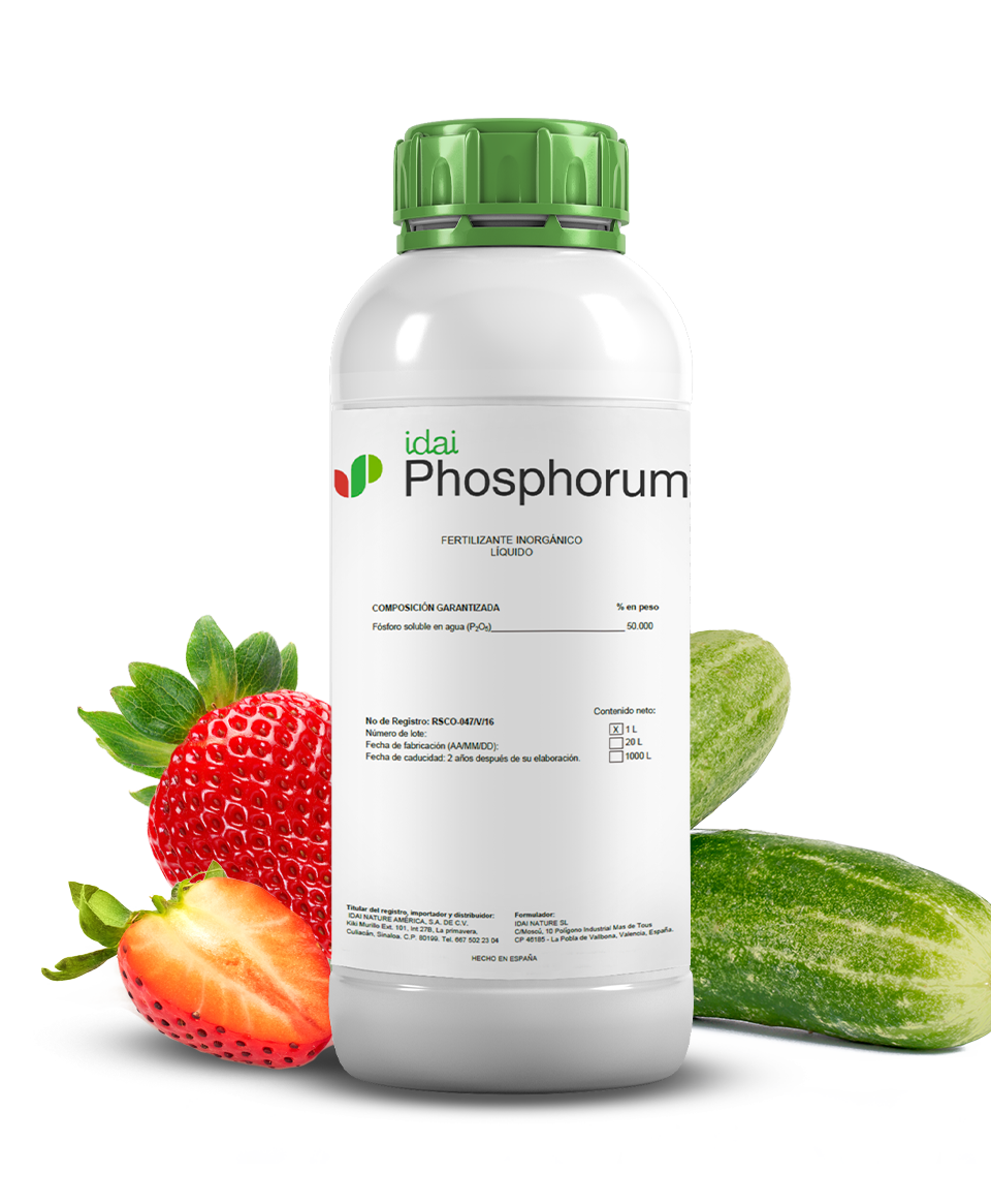 Idai Phosphorum