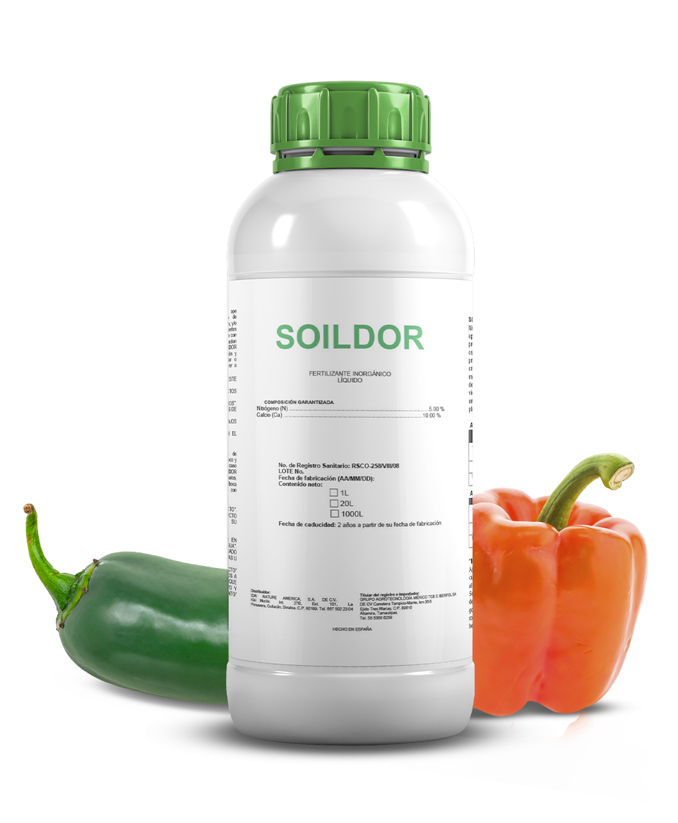 Soildor