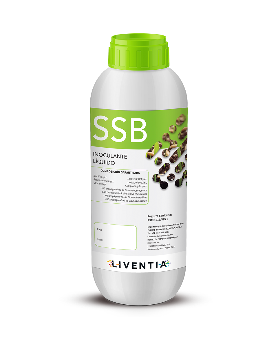 SSB
