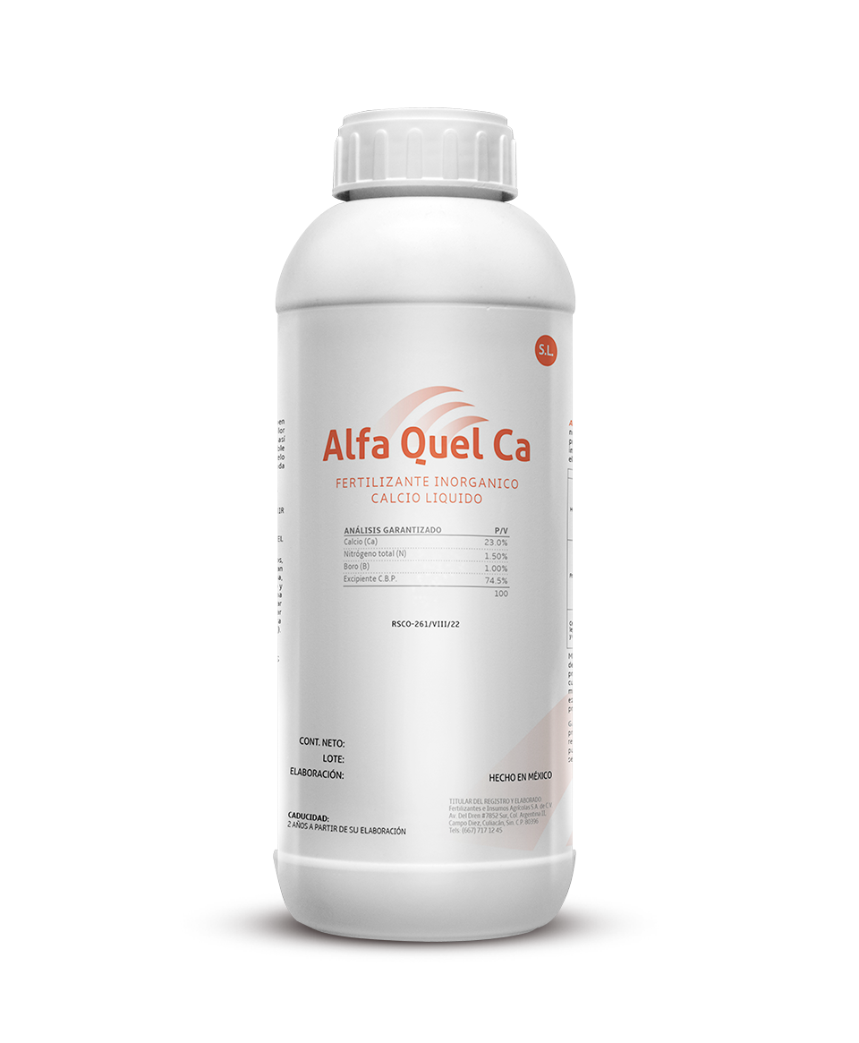 Alfa Quel Ca
