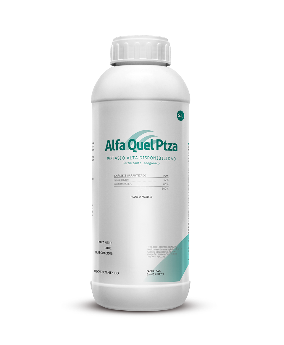 Alfa Quel Ptza