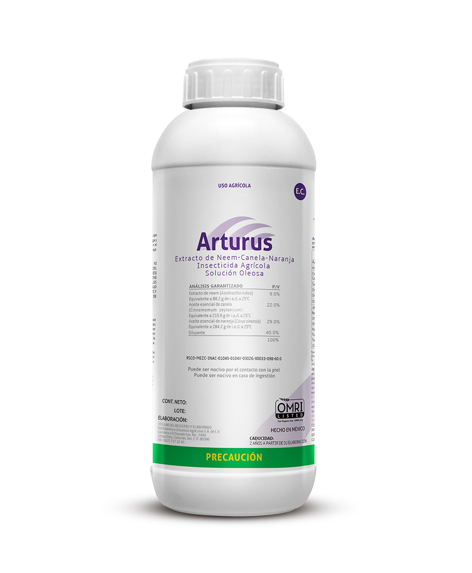 Arturus