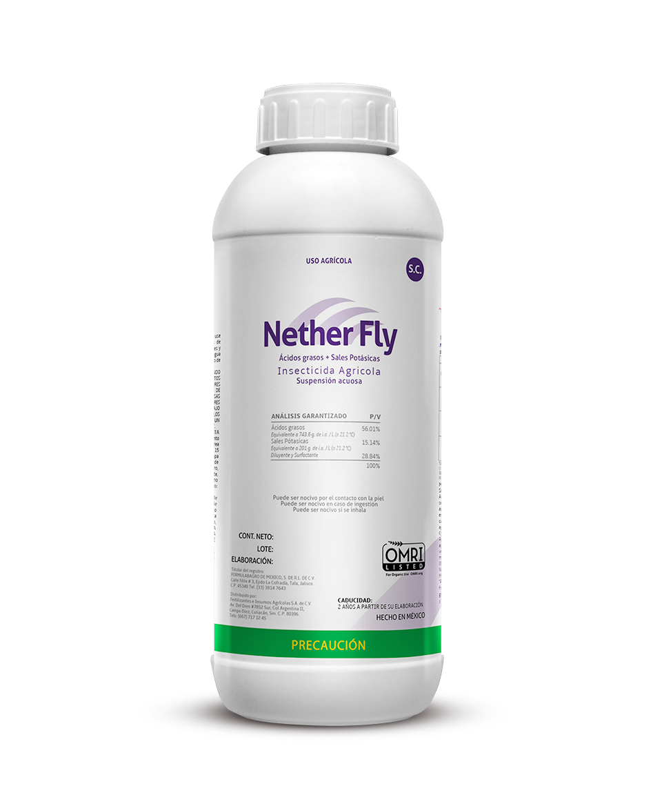 Nether Fly