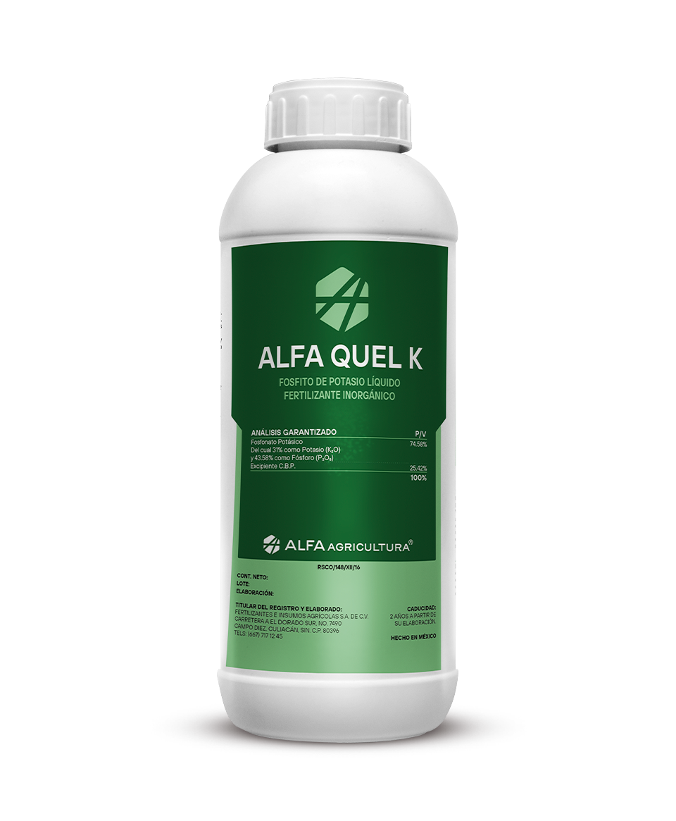 Alfa Quel K