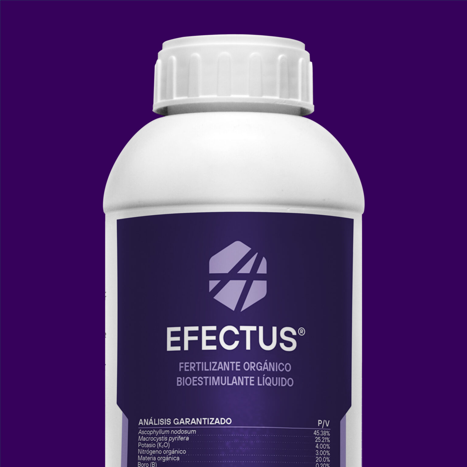 Efectus