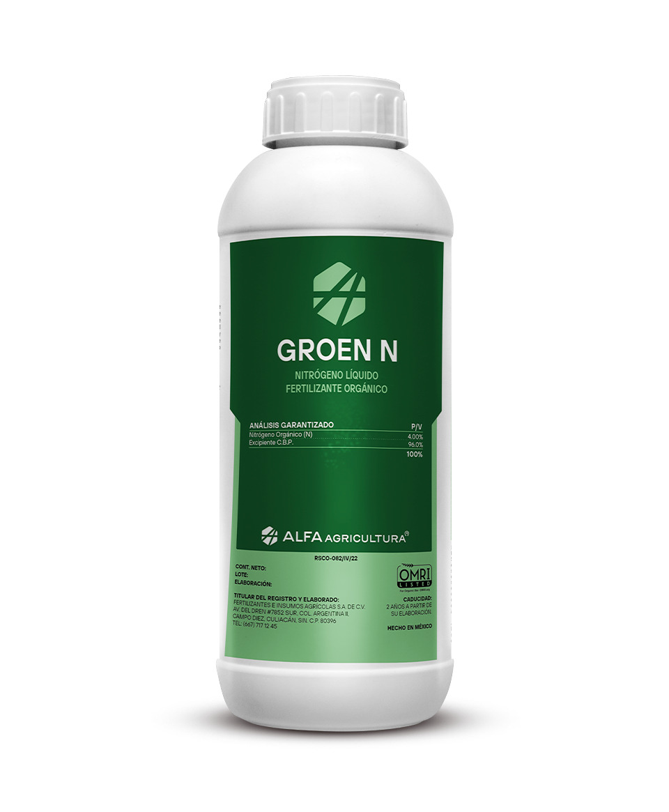 Groen N
